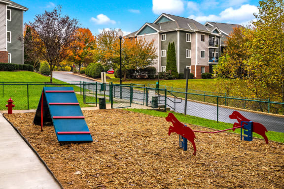 Dog Park with Agility Equipment at Heritage at the Peak, Asheville, NC, 28804