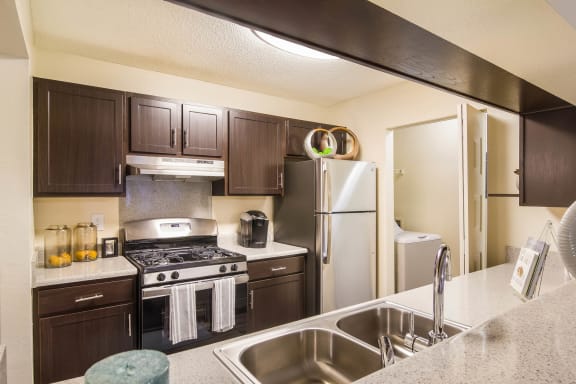 Luxurious Kitchen at St. Johns Forest Apartments, Jacksonville, Florida