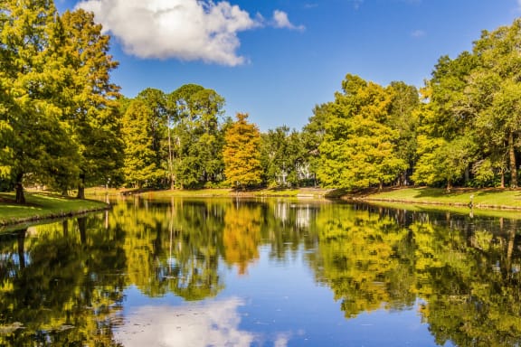 Lake side at St. Johns Forest Apartments, Jacksonville