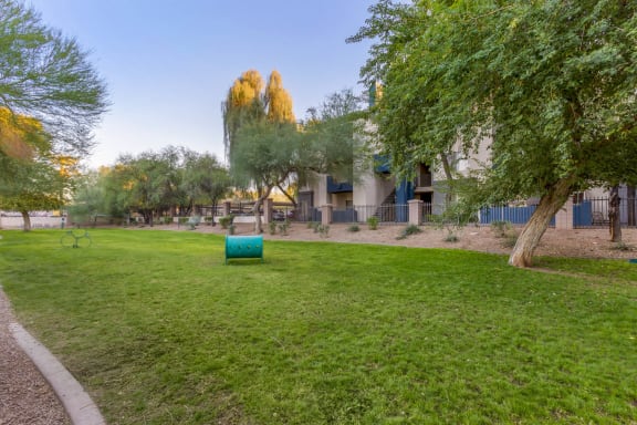Paw Park at Sweetwater At Metro North Apartments, Phoenix