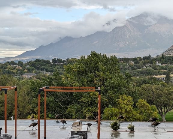 Mountain in the background at Cliffs at Canyon Ridge - Photo Credit:  Caleigh K.