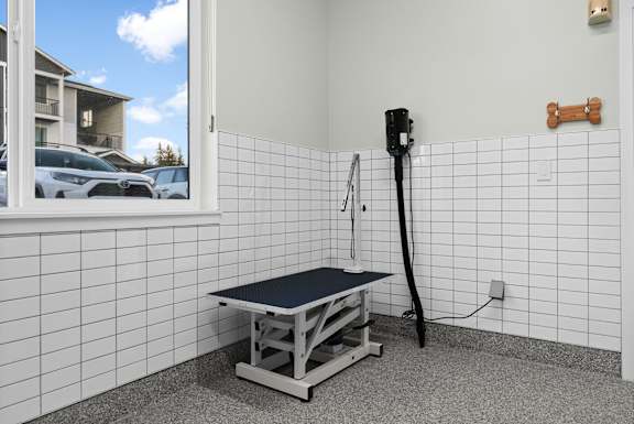 A room with a black vacuum cleaner and a black mat on the floor.