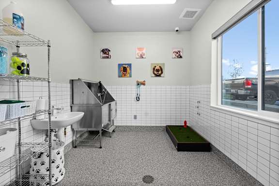 A bathroom with a sink, toilet, and a window.
