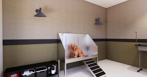 A dog is sitting on a bench in a room with tiled walls.