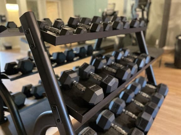 a row of weights on a rack in a gym at Pottery Creek Apartments, Washington