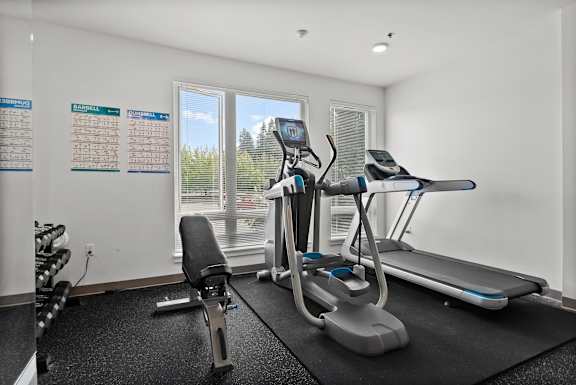 A gym with a treadmill, exercise bike, and weights.