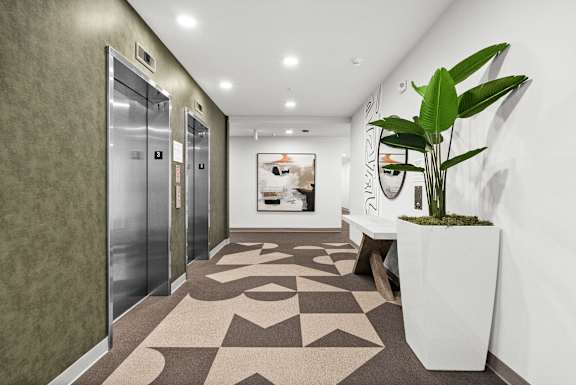 A hallway with a plant in a white planter.