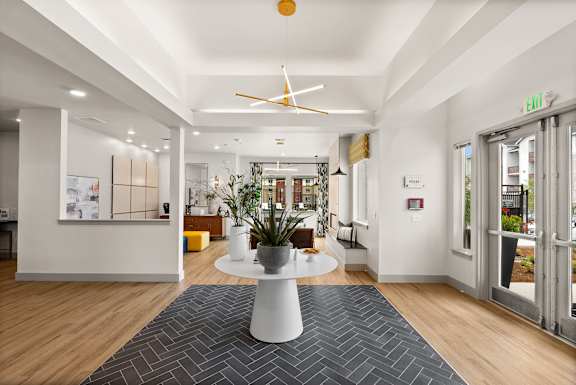 A white ceiling fan hangs over a round table with a plant on it.