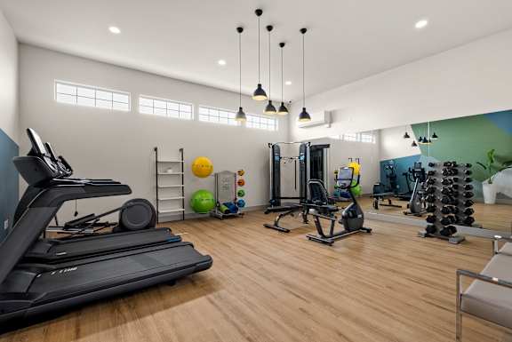 A well-equipped gym with a treadmill, weights, and exercise balls.