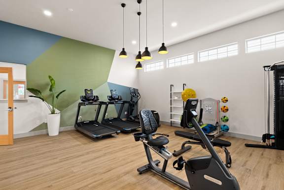A gym with a treadmill, exercise bike, and weights.