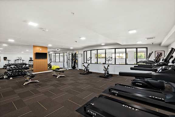 A gym with treadmills and exercise equipment.
