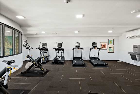 A gym with a variety of cardio equipment including treadmills, stationary bikes, and elliptical machines.