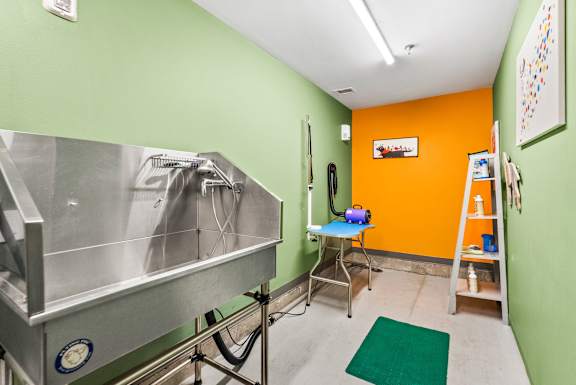 A room with a green wall and a stainless steel table.