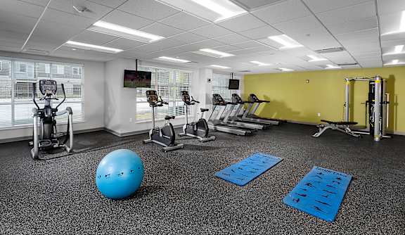 A gym with a blue ball, dumbbells, and exercise equipment.