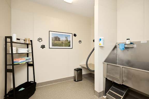 A room with a ladder, a black trash bin, a picture on the wall, and a stainless steel sink.