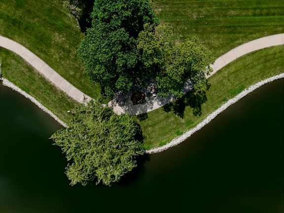 A tree stands in the middle of a body of water.