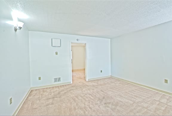 an empty living room with carpet and a door to a closet