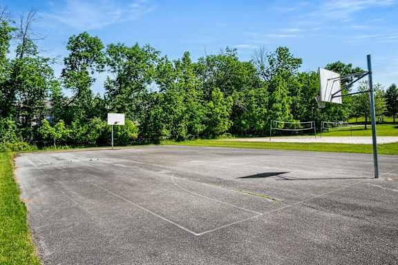 A basketball court surrounded by trees and a clear blue sky.