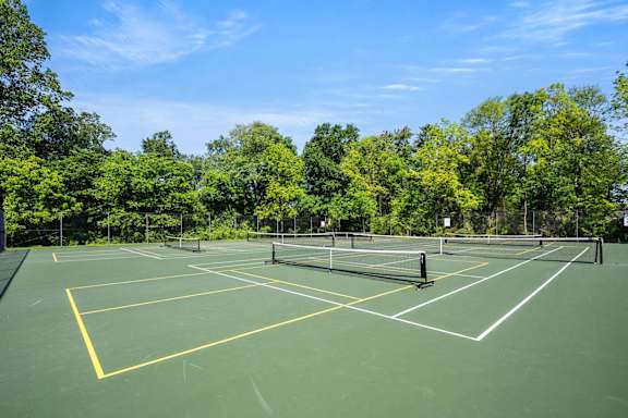A tennis court surrounded by trees on a sunny day.