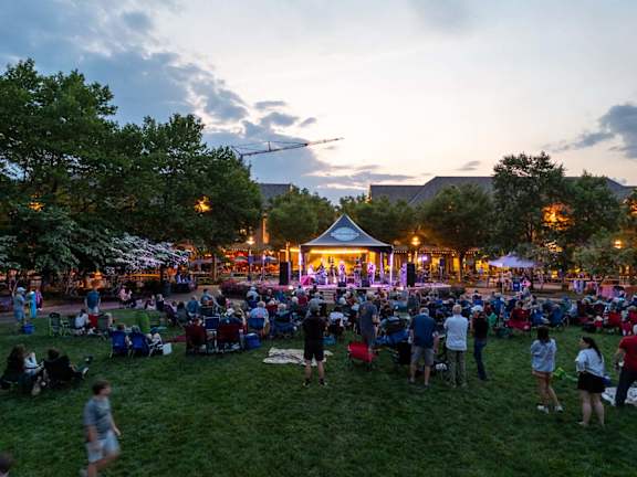 A large crowd of people are gathered in a park for an outdoor event.