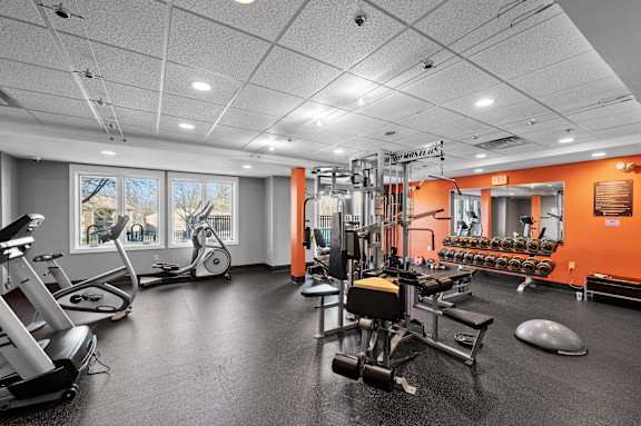 A gym with a variety of equipment including treadmills, stationary bikes, and weight machines.