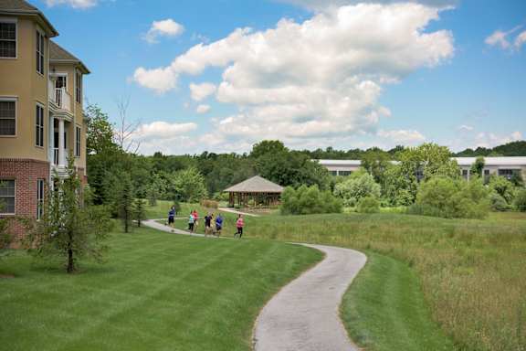 A group of people are walking down a path in a green field.