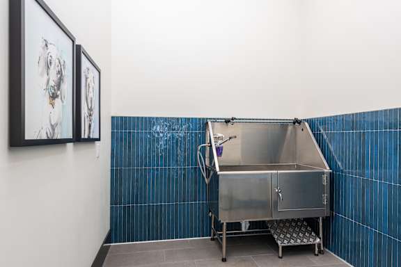 A stainless steel food container with a handle and a door is on a trolley in a room with blue tiles at Hawk Ridge Apartments, Lake St. Louis, MO