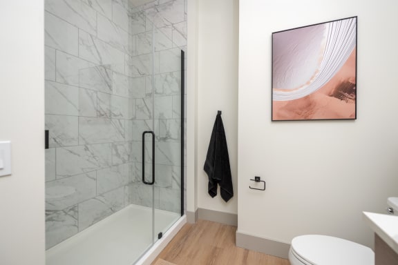 a bathroom with a shower and a toilet and a painting on the wall at Bemiston Place Apartments, Clayton Missouri