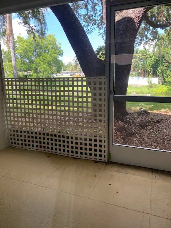 A tree is behind a screen door.