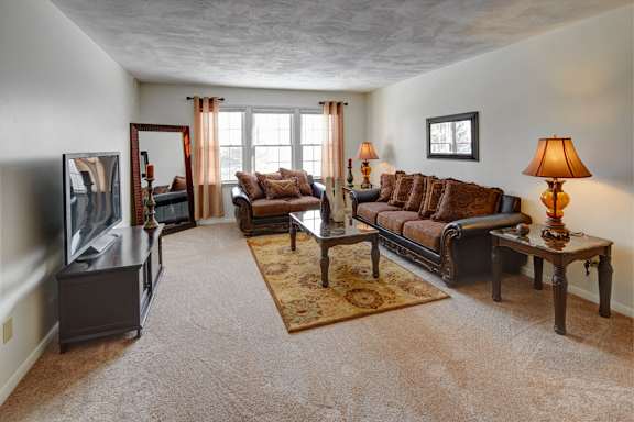 A living room with a couch, a chair, a coffee table, and a rug.