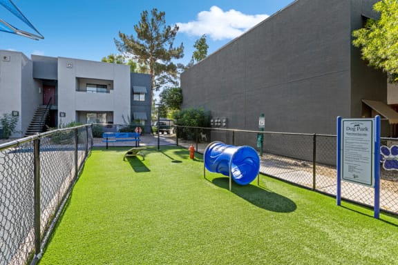 dog park with agility courses