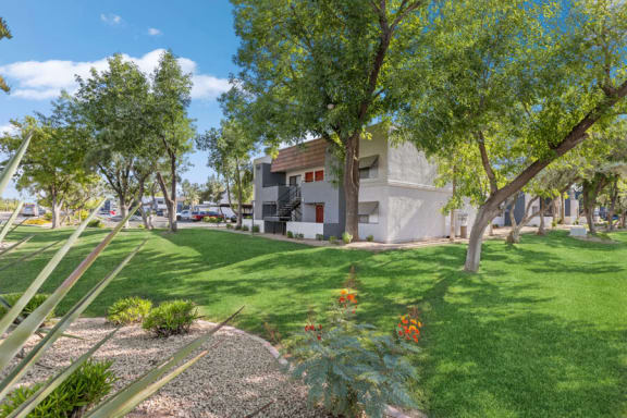 a grassy area with trees and a building in the background