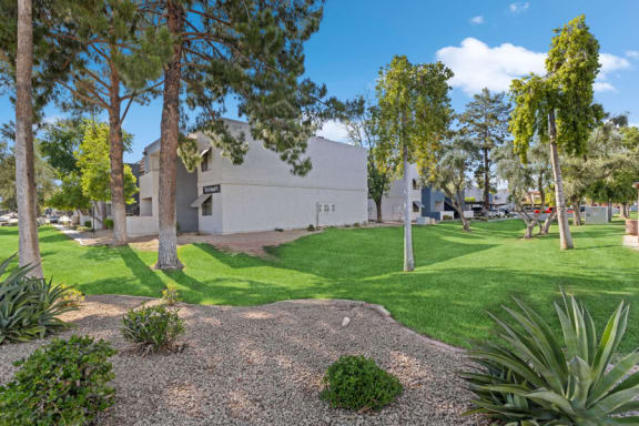 a grassy area with trees and buildings in the background