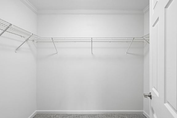 A white closet with a door and a carpet.