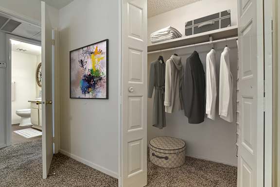Closet at Lakeshore Landing Apartments in Ridgeland, MS