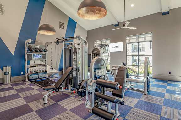 A Gym with a Variety of Equipment  at The Rosemary Apartments, Humble, 77346