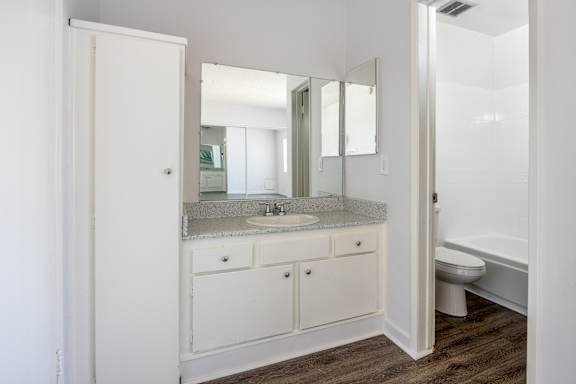 a bathroom with a sink and a toilet and a mirror