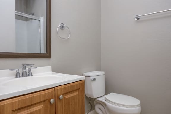 a bathroom with a toilet and a sink and a mirror