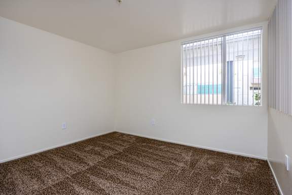 an empty living room with carpet and a window