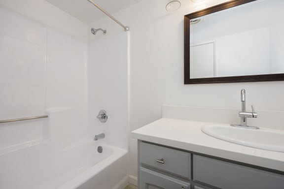 a bathroom with a sink and a tub and a mirror
