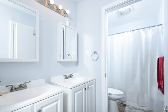 a bathroom with a sink and a toilet and a shower