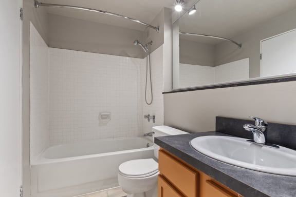 a bathroom with a sink and a toilet and a bath tub