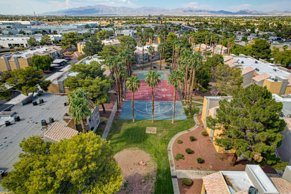 A basketball court is surrounded by palm trees and buildings.