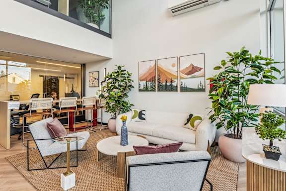 A living room with a couch, chairs, and potted plants.