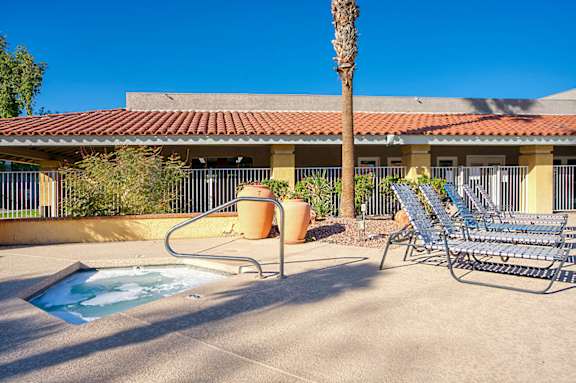 A pool area with a hot tub, chairs, and a palm tree.