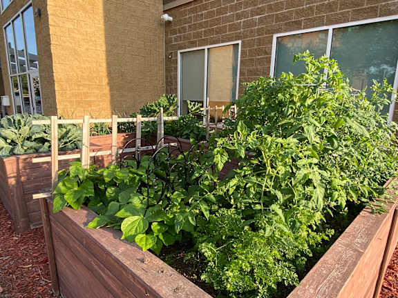 Aguilera | Fruit and Vegetable Garden For Students