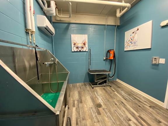 Dog Washing Station