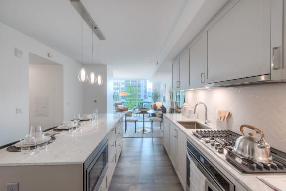 Ample Cabinet and Counter Space in One Bedroom
