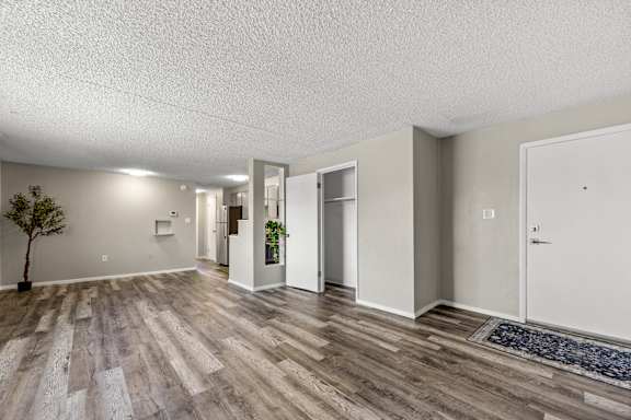 A room with a tree and a rug on the floor.