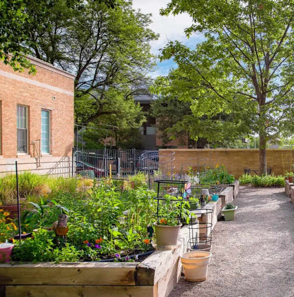 A garden with a variety of plants and flowers in pots and in the ground.